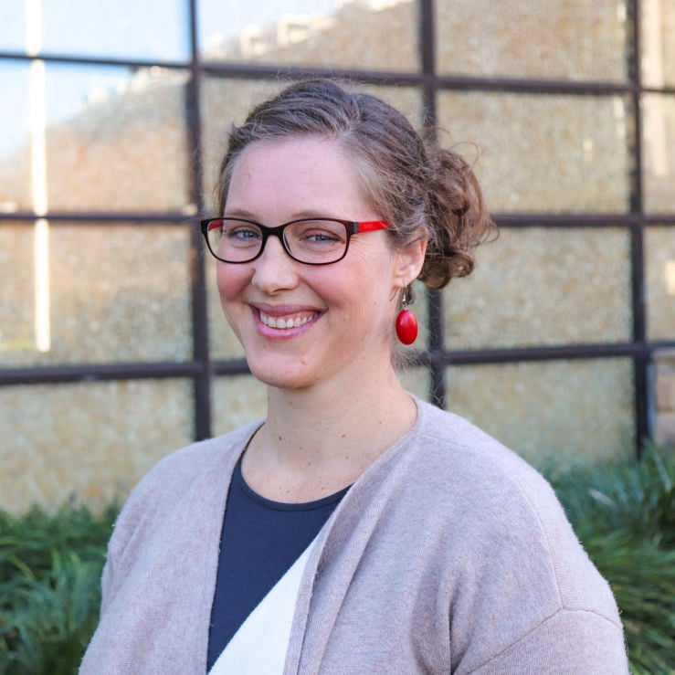 Professor Lisa A. Williams